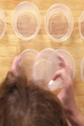 Struggle Meals S01E02 480p x264-mSD EZTV