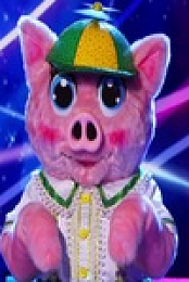 The Masked Singer S05E12 480p x264-mSD EZTV