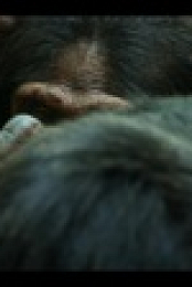 Chimp Empire S01E01 1080p WEB H264-CAKES EZTV