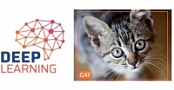 [ FreeCourseWeb ] Udemy - Deep Learning in Practice I - Basics and Dataset Desig...