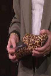 Dragons Den CA S18E13 480p x264-mSD EZTV