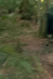 Naked and Afraid S12E01 480p x264-mSD EZTV