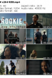 The Rookie S02E04 HDTV x264-RBB mp4