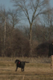 Somebody Somewhere S03E06 720p WEB x265-MiNX EZTV