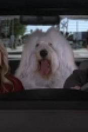 B Positive S01E12 720p WEB x265-MiNX EZTV