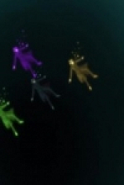 Last Hope S01E24 WEB X264-INFLATE [eztv]