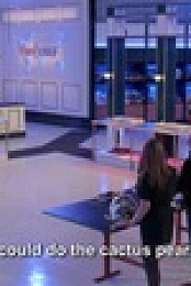 Top Chef S20E08 XviD-AFG EZTV