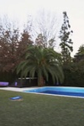 The Challenge S38E11 480p x264-mSD EZTV