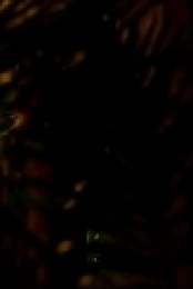 JAG S05E08 480p x264-mSD [eztv]