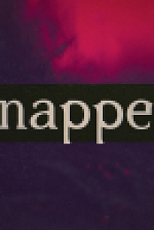 Snapped S33E21 1080p WEB h264-EDITH EZTV