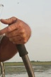 Swamp People S12E14 XviD-AFG EZTV