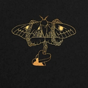 David Gray - Gold in a Brass Age (2019) Flac
