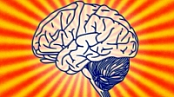 [ FreeCourseWeb ] Udemy - Learning Strategies & Boost Memory Made Simple (2020)