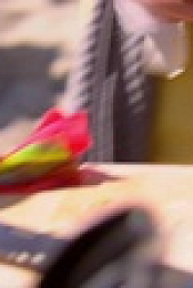 Beachside Brawl S02E02 XviD-AFG EZTV