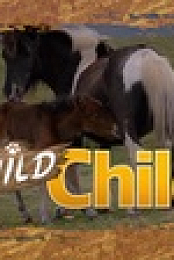 Wild Child S03E05 XviD-AFG EZTV
