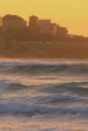 Bondi Vet S06E26 WEB x264-GIMINI [eztv]