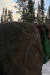 Mountain Men S07E16 720p WEB h264-TBS EZTV