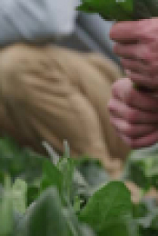Barnwood Builders S19E05 XviD-AFG EZTV