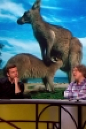 QI S13E10 HDTV x264 C4TV rarbg