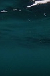 Wicked Tuna S12E05 720p WEB h264-KOGi EZTV