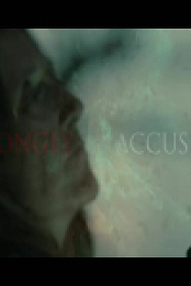 Wrongly Accused S01E09 480p x264-mSD EZTV
