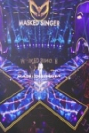 The Masked Singer S03E06 480p x264-mSD [eztv]