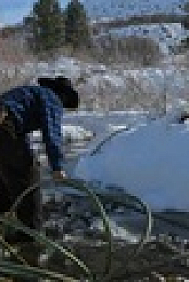 Mountain Men S11E11 XviD-AFG EZTV