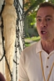 Schooled S02E06 iNTERNAL 720p WEB h264-BAMBOOZLE [eztv]