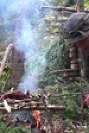 Alone S09E04 The Beaver XviD-AFG EZTV