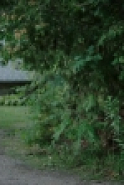 Falling Water S02E02 iNTERNAL 720p WEB x264-BAMBOOZLE[eztv]