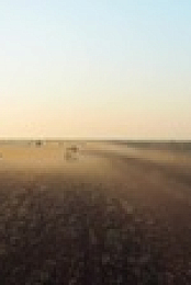 Outback Ringer S02E03 1080p HDTV H264-CBFM EZTV