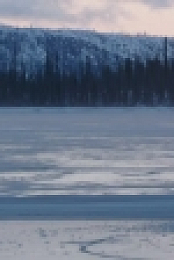 Alone S07E11 720p HEVC x265-MeGusta EZTV