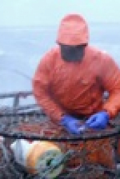 Deadliest Catch S18E09 720p WEB h264-BAE EZTV