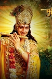 Mahabharat (2013-14) Complete 1080p WebHD [ENGLISH SUB]
