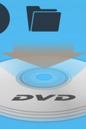 Tipard DVD Cloner v6.2.22 Patched (macOS) - [haxNode]