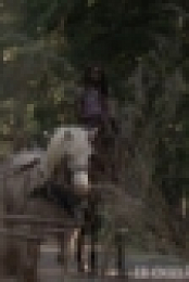 The Walking Dead S10E04 720p WEB H264-XLF[ettv]