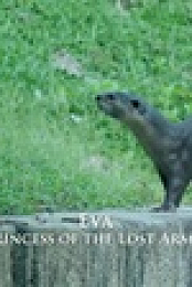 Otter Dynasty S01E04 XviD-AFG EZTV