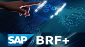 [ DevCourseWeb ] Udemy - SAP BRF + for ABAP ( Business Rule Framework )