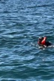 When Sharks Attack 360 S01E05 XviD-AFG EZTV