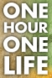 One Hour One Life