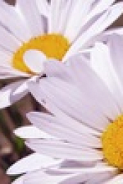 Open Minds With Regina Meredith S02E01 720p WEB h264-SKYFiRE EZTV