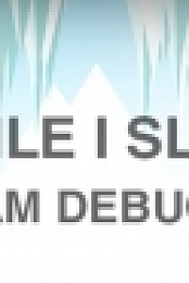 While I Sleep I am Debug