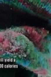 Alone S10E09 XviD-AFG EZTV
