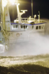 Deadliest Catch S20E14 1080p WEB h264-EDITH EZTV