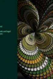 Adobe Audition 2020 v13.0.2.35 (x64) Multilanguage [johdrxrt]