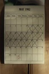 Physical S02E09 480p x264-mSD EZTV