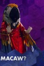 The Masked Singer S09E10 XviD-AFG EZTV