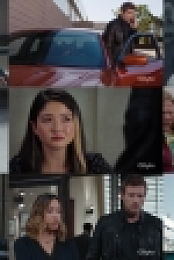 Hudson and Rex S03E04 720p HDTV x264-SYNCOPY