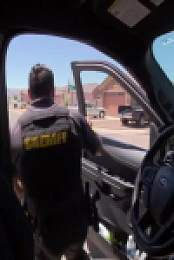 Cops S35E10 480p x264-mSD EZTV