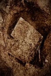 Expedition Unknown S11E10 480p x264-mSD EZTV